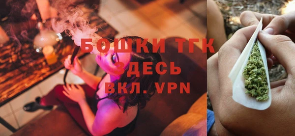 прущие крисы Бородино