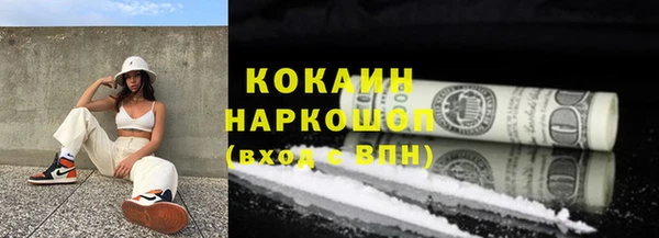 прущие крисы Бородино