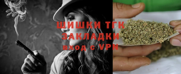 прущие крисы Бородино