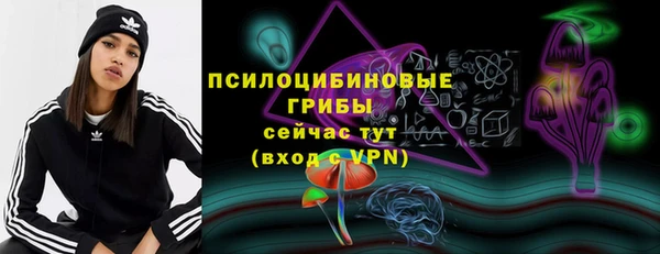 прущие крисы Бородино