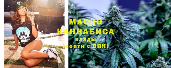прущие крисы Бородино