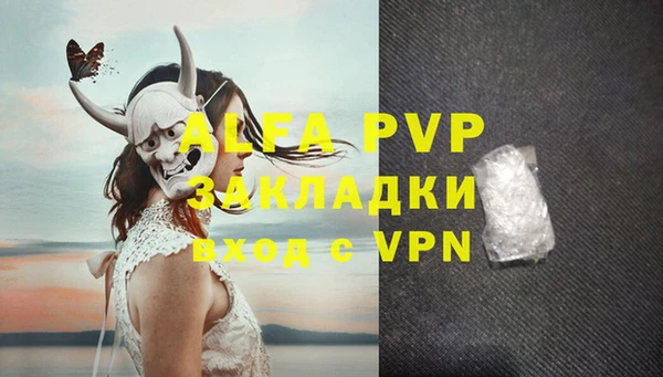 прущие крисы Бородино