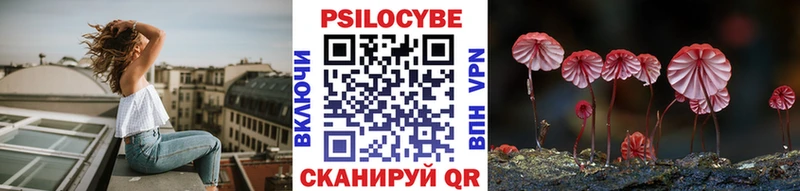как найти закладки  кракен как зайти  Псилоцибиновые грибы прущие грибы  Теберда 